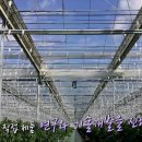 델텍스 네이버블로그