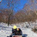 백아산자연휴양림 이미지