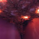 단풍노래연습장 이미지