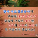 대동목장 이미지