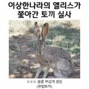 종로-신교-종로-신-243 | 3월. 대충 열심히 살기