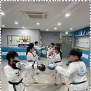 푸른태권도 이미지