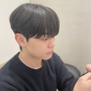 쁘띠동백