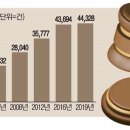 상고제