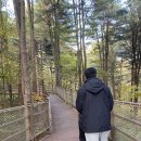 잣향기푸른숲 유아숲체험원 네이버블로그