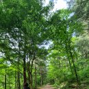 덕유산자연휴양림 이미지