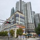 디엠보고 이미지