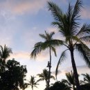 파라다이스 코브 이미지