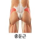연결한의원 네이버블로그