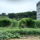 풍년농장 이미지