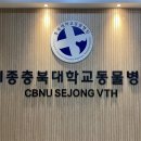 세종충북대학교 동물병원 이미지