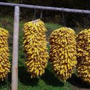 오늘은좋은날 이미지