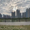 신독도참치 - 파주시 순못길 122-14 | 신독도참치