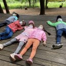 상2어린이집 이미지