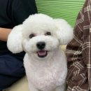 비비PC 이미지