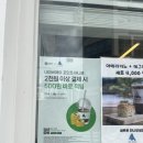 [블챌] 일상 포토덤프 6주차 : 세종 생활을 서서히 정리하며🥹