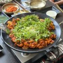 목련로 | 청주 부모님과 식사하기 좋은 소나무 불쭈꾸미 재방문 후기