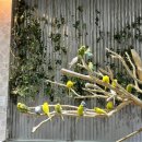 (주)블랙스톤리조트 | 충북 맘편한태교여행 “ 증평 벨포레리조트 ” 이용후기
