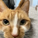 임실서초 | 지옥의 2025년 12월 일기 (2025년 이제야 끗!)