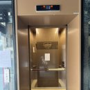 아나봄 펫살롱 | 광주 충장로 레이어드 컷&amp;펌 잘 하는 미용실 “살롱드추상” 소유 원장 내돈내산 솔직후기! (반려동물...