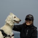 산머루펜션 - 가평군 청군로 309 | 산머루펜션