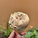 배스킨라빈스 하남트레이더스점 이미지