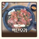 백년오리 | 익산 영등동 오리고기맛집 백년오리 내돈내산 후기