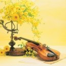 바이올린 (B) 이미지