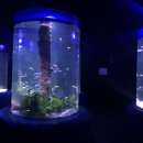 작은동물원수족관 이미지