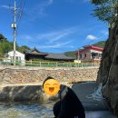 섬진강출렁다리펜션 이미지