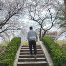 발안천 산책로 이미지