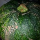 공북2리경로당 이미지