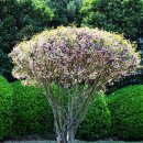 유엔기념공원주차장 이미지