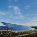 대금태양광발전소 이미지