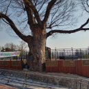 추학보건진료소 이미지