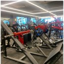 에스투짐 이미지