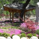 대화초 개수분교장 이미지