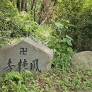 서천 영수암 목조보살좌상 | 서천여행, 보물이 있는 봉서사