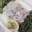 싱싱이막회 | 관평동 맛집 싱싱이 횟집 가성비 좋은 신선한 모둠막회 후기