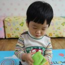 멍멍아 까꿍 이미지