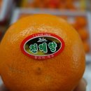 성산친환경영농조합법인 이미지