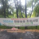 2024년 9월 21일(토) 선암사 우중어싱 이미지