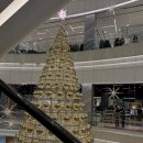 씨유어양프리미엄점 | 무뎌보자 무뎌보자 🎶 / 캐스트커피오피스/ 허그유어스킨 / 타입서비스/ 녹향생고기/ 생수정/ 켑트 베이커스