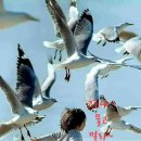 퓨전장구 이미지