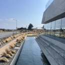 성산고등학교 | 성산 카페 오른 동쪽 유채꽃 제주 오션뷰 대형카페