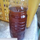 학수농장 이미지