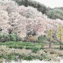 신부문화회관 이미지