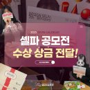 주니어셀파미술학원
