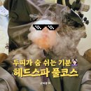 청량리39 | 청량리 두피스파 지오네어 청량리점 방문 후기