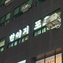 한야지포크 이미지